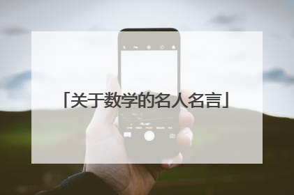 关于数学的名人名言
