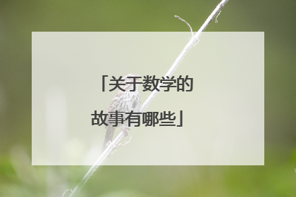 关于数学的故事有哪些