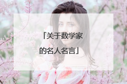 关于数学家的名人名言