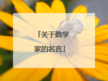 关于数学家的名言