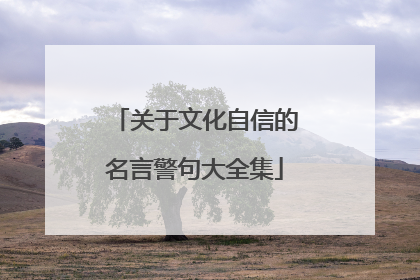 关于文化自信的名言警句大全集