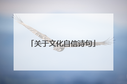 关于文化自信诗句