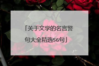 关于文学的名言警句大全精选56句