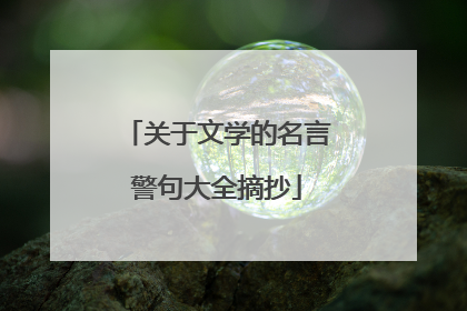 关于文学的名言警句大全摘抄