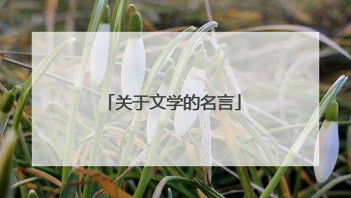 关于文学的名言