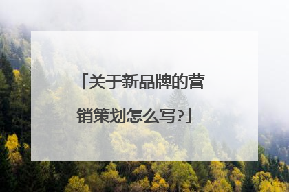 关于新品牌的营销策划怎么写?