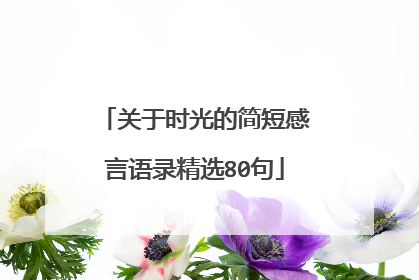 关于时光的简短感言语录精选80句
