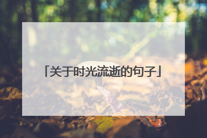 关于时光流逝的句子