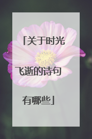 关于时光飞逝的诗句有哪些