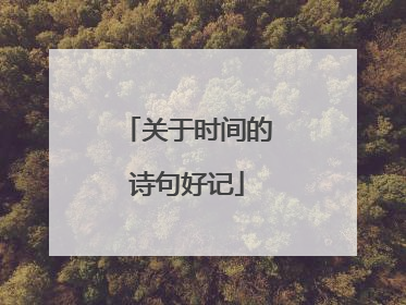 关于时间的诗句好记
