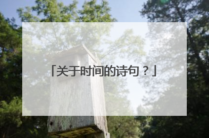 关于时间的诗句？