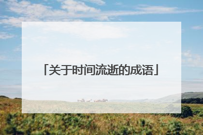 关于时间流逝的成语