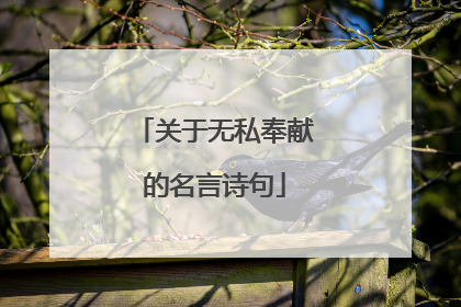 关于无私奉献的名言诗句
