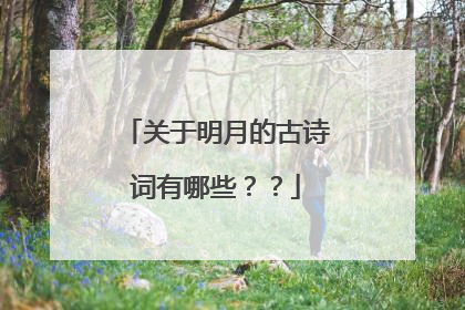 关于明月的古诗词有哪些？？