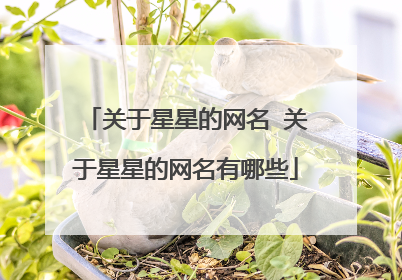 关于星星的网名 关于星星的网名有哪些