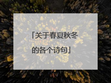 关于春夏秋冬的各个诗句