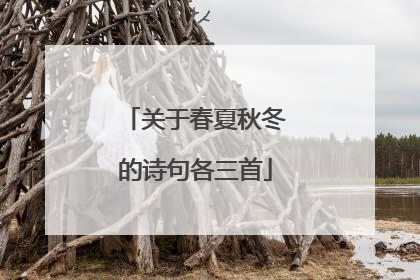 关于春夏秋冬的诗句各三首