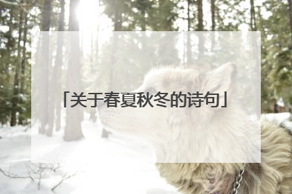 关于春夏秋冬的诗句