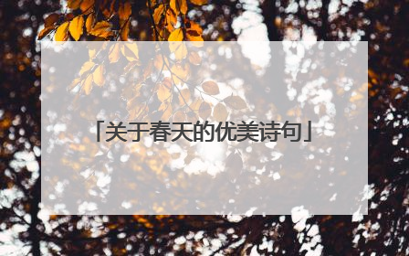 关于春天的优美诗句