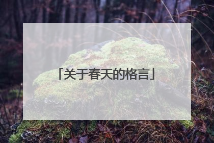 关于春天的格言
