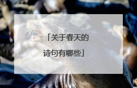 关于春天的诗句有哪些