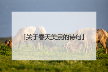 关于春天美景的诗句