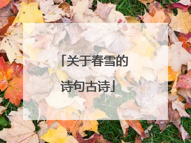 关于春雪的诗句古诗