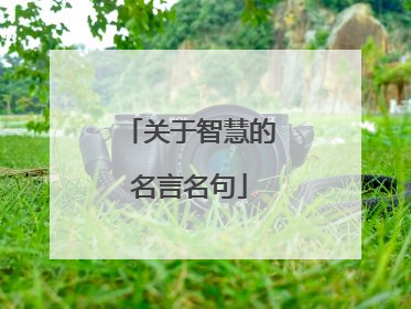 关于智慧的名言名句