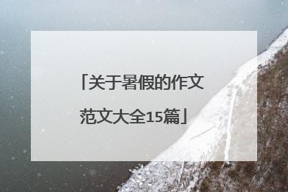 关于暑假的作文范文大全15篇
