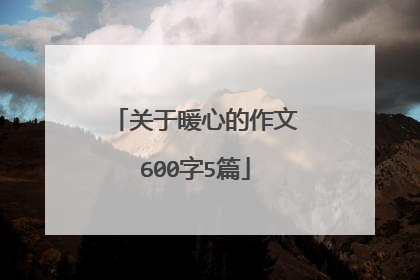 关于暖心的作文600字5篇