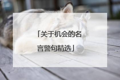 关于机会的名言警句精选