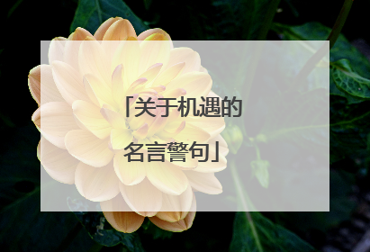 关于机遇的名言警句