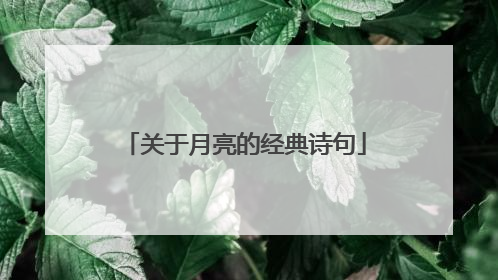 关于月亮的经典诗句