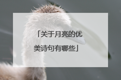 关于月亮的优美诗句有哪些