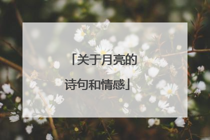 关于月亮的诗句和情感