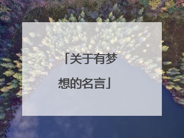 关于有梦想的名言