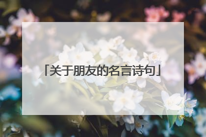 关于朋友的名言诗句