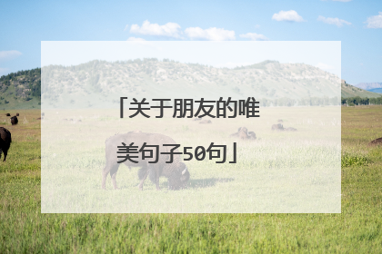 关于朋友的唯美句子50句