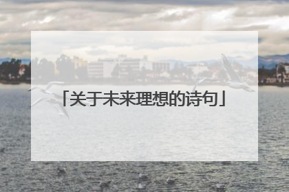 关于未来理想的诗句
