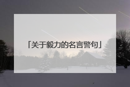 关于毅力的名言警句