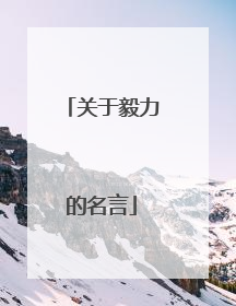 关于毅力的名言