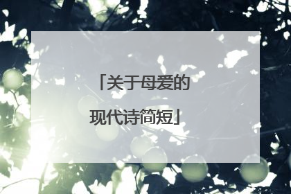关于母爱的现代诗简短