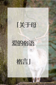 关于母爱的俗语格言