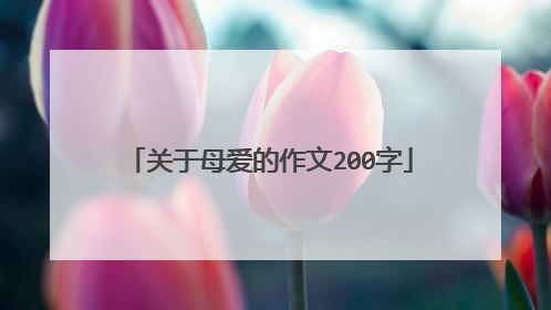 关于母爱的作文200字
