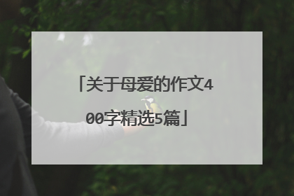 关于母爱的作文400字精选5篇