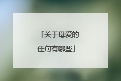 关于母爱的佳句有哪些