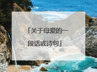 关于母爱的一段话或诗句
