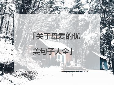 关于母爱的优美句子大全