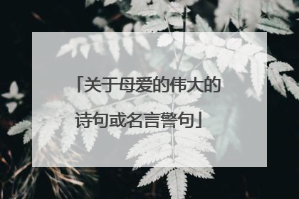 关于母爱的伟大的诗句或名言警句