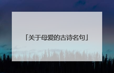关于母爱的古诗名句
